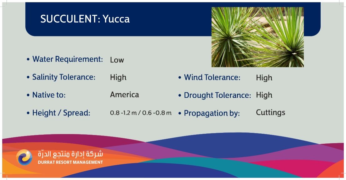 Plant 27