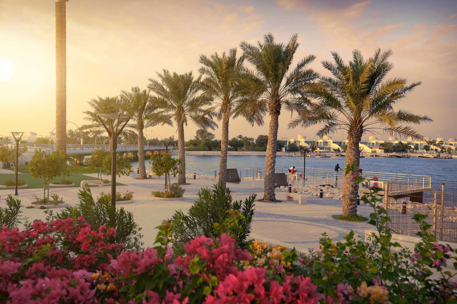 المساحات الزراعية 9