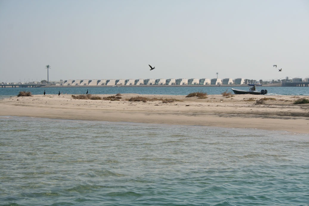 Beaches 21