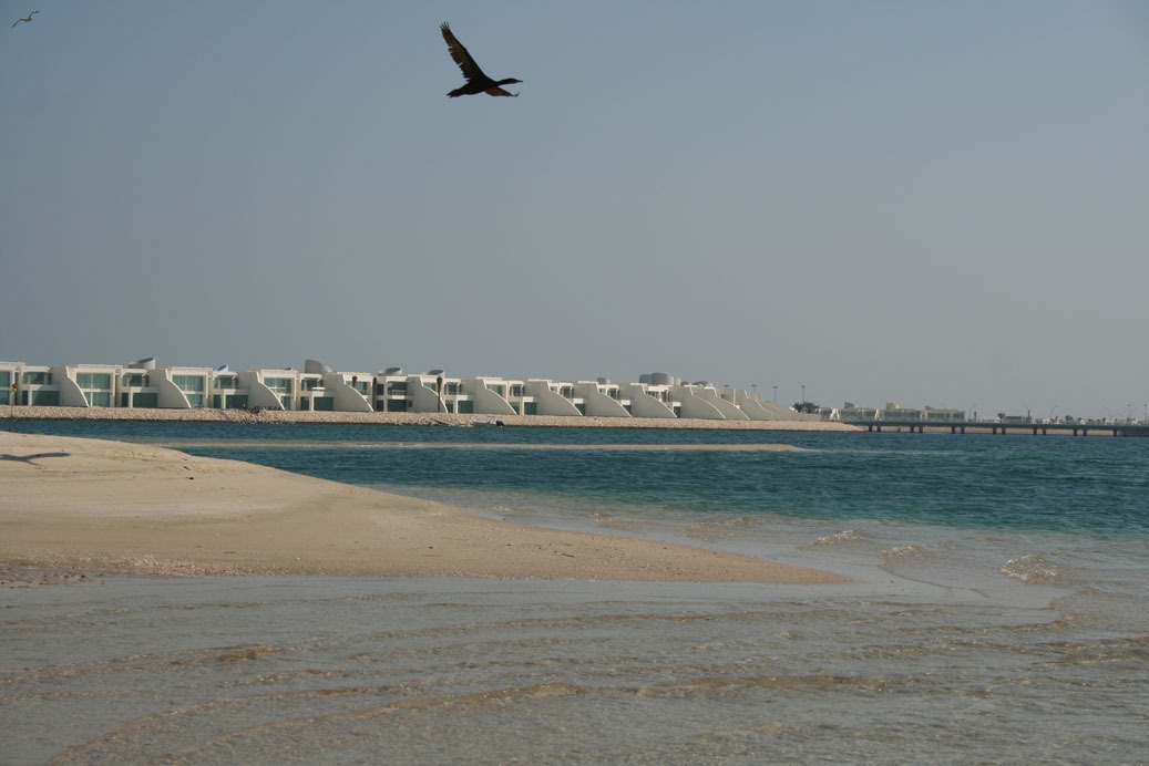 Beaches 22