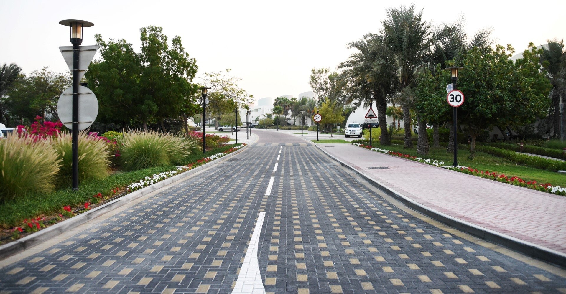 المساحات الزراعية 20