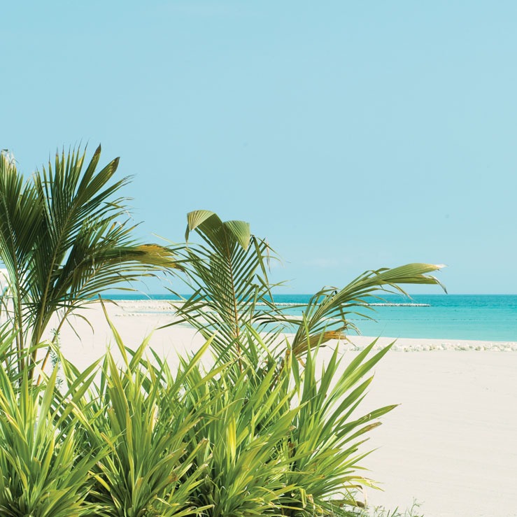 Beaches 26