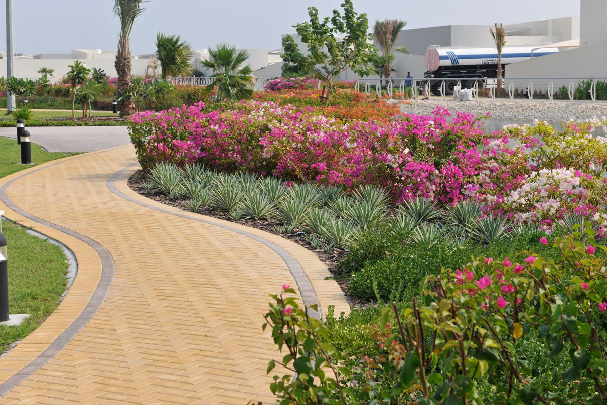 المساحات الزراعية 4
