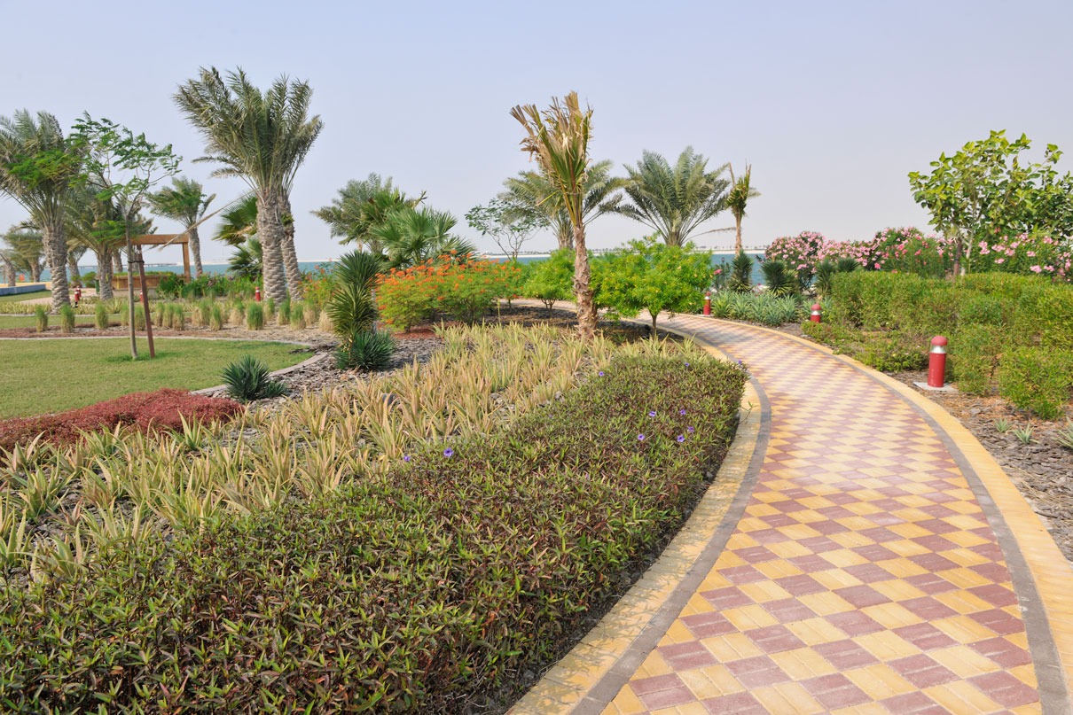 المساحات الزراعية 6
