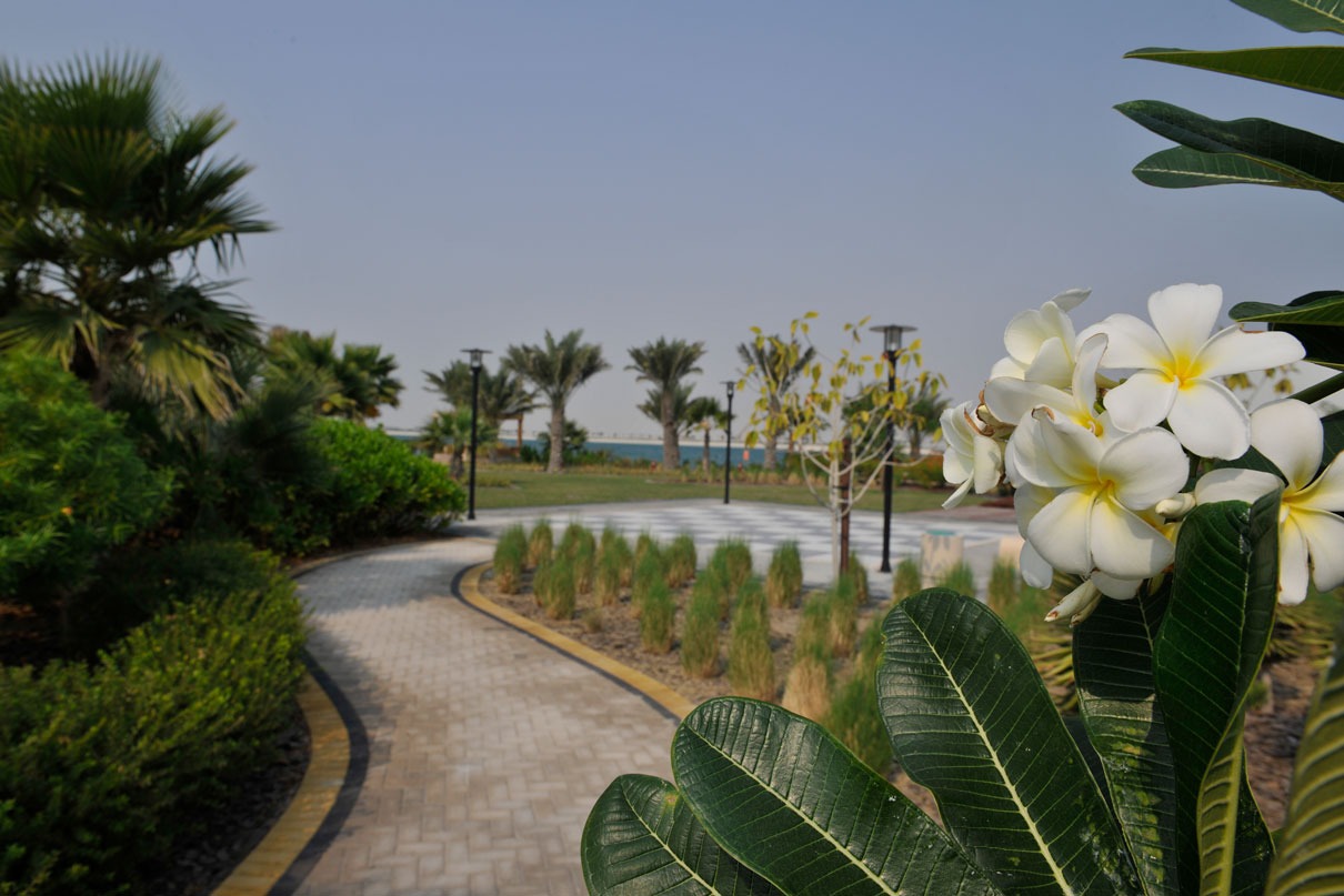 المساحات الزراعية 30