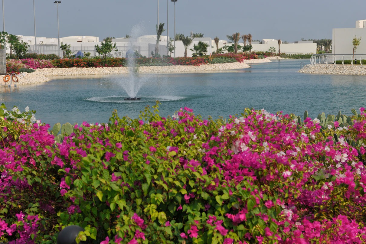 المساحات الزراعية 3
