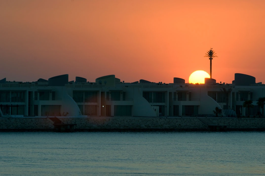 المساحات الزراعية 40